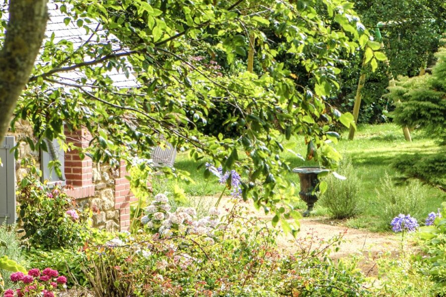 vue sur le jardin de la chambre d'hôtes