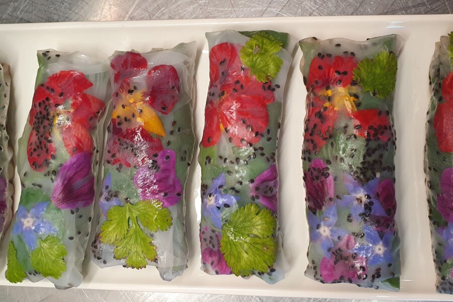 rouleaux-de-printemps